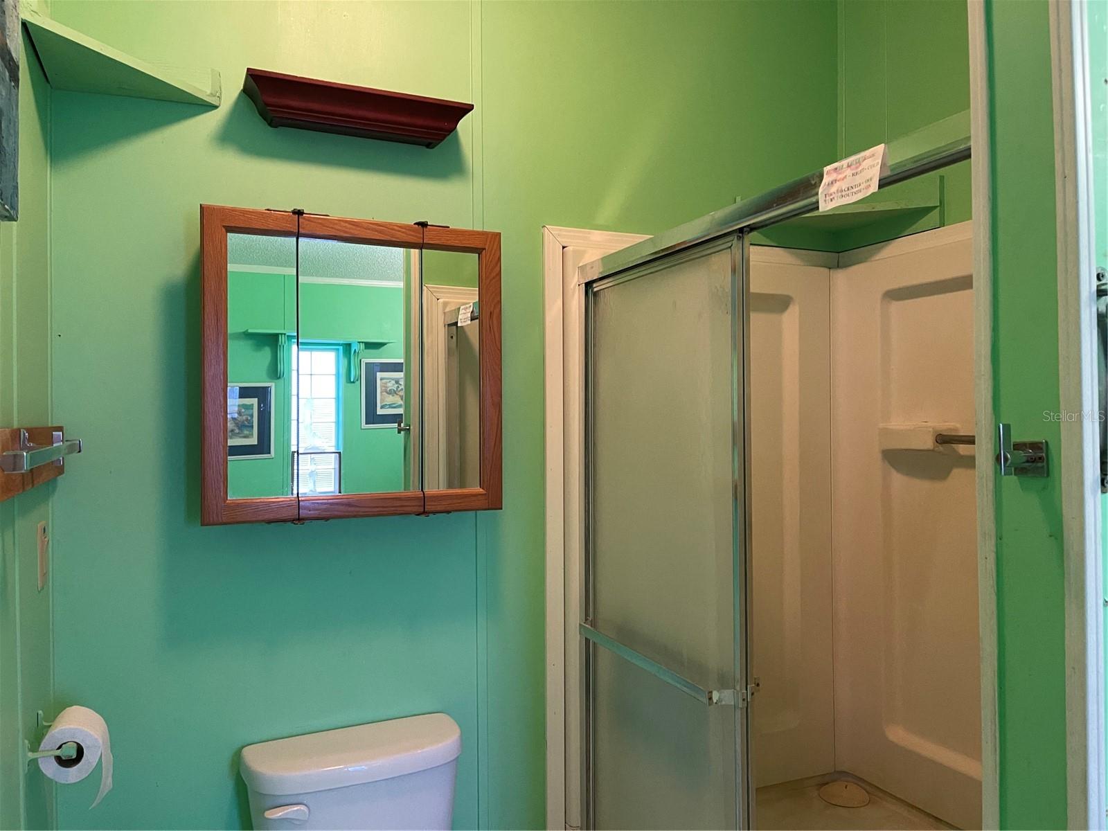 20961 LITTLE MAGENS LOOP, LUTZ, FL, 33558