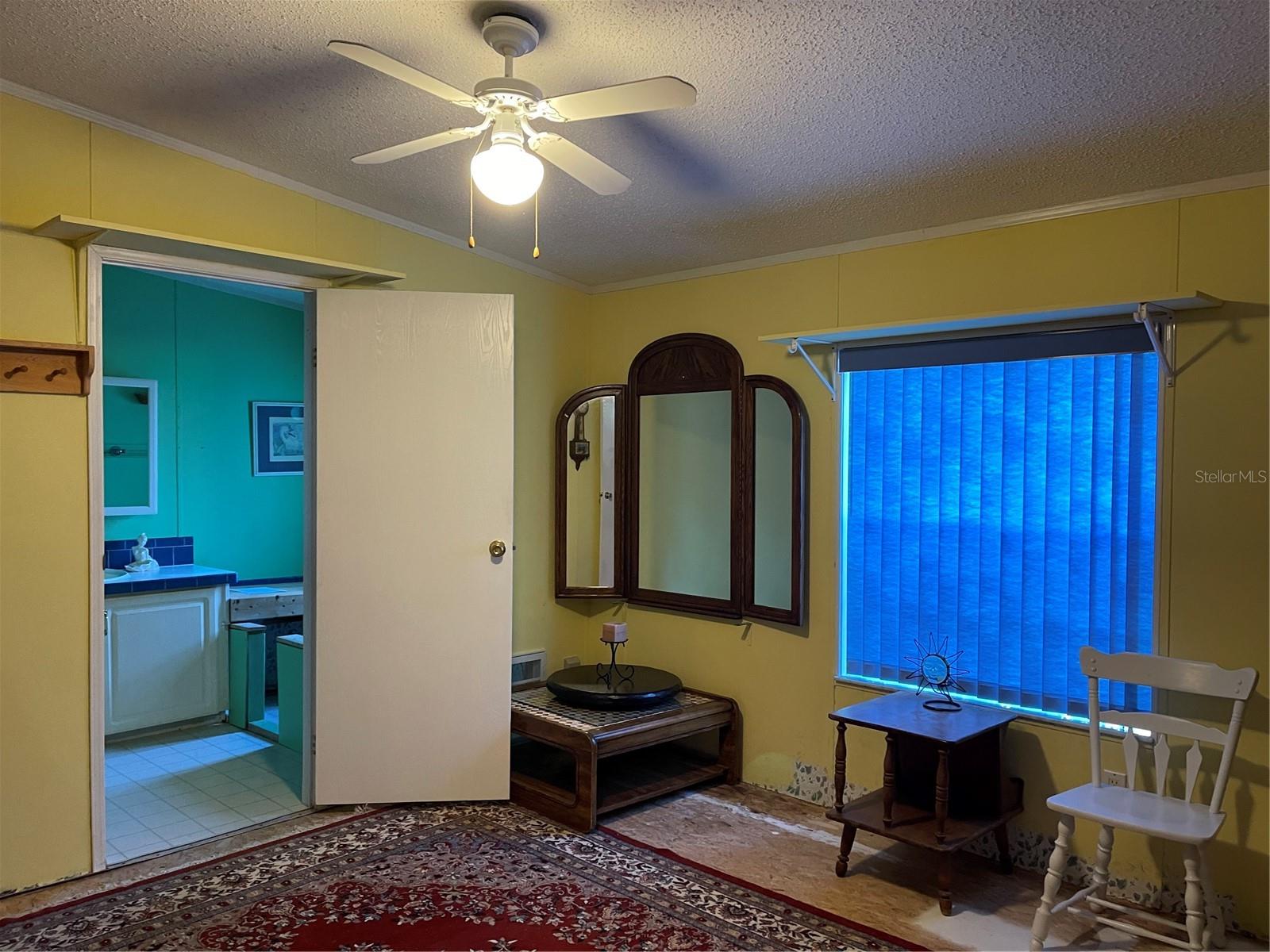 20961 LITTLE MAGENS LOOP, LUTZ, FL, 33558