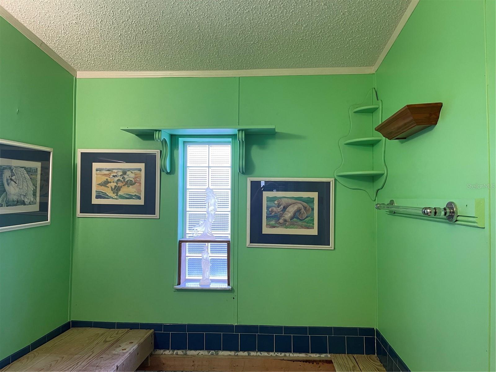 20961 LITTLE MAGENS LOOP, LUTZ, FL, 33558