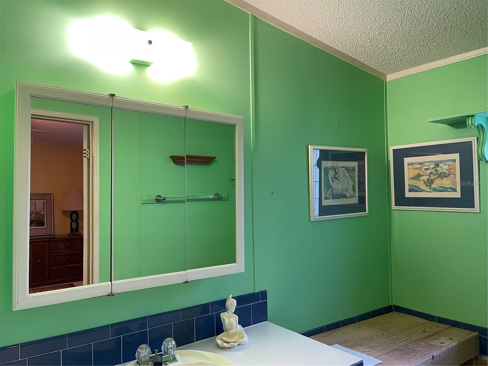 20961 LITTLE MAGENS LOOP, LUTZ, FL, 33558