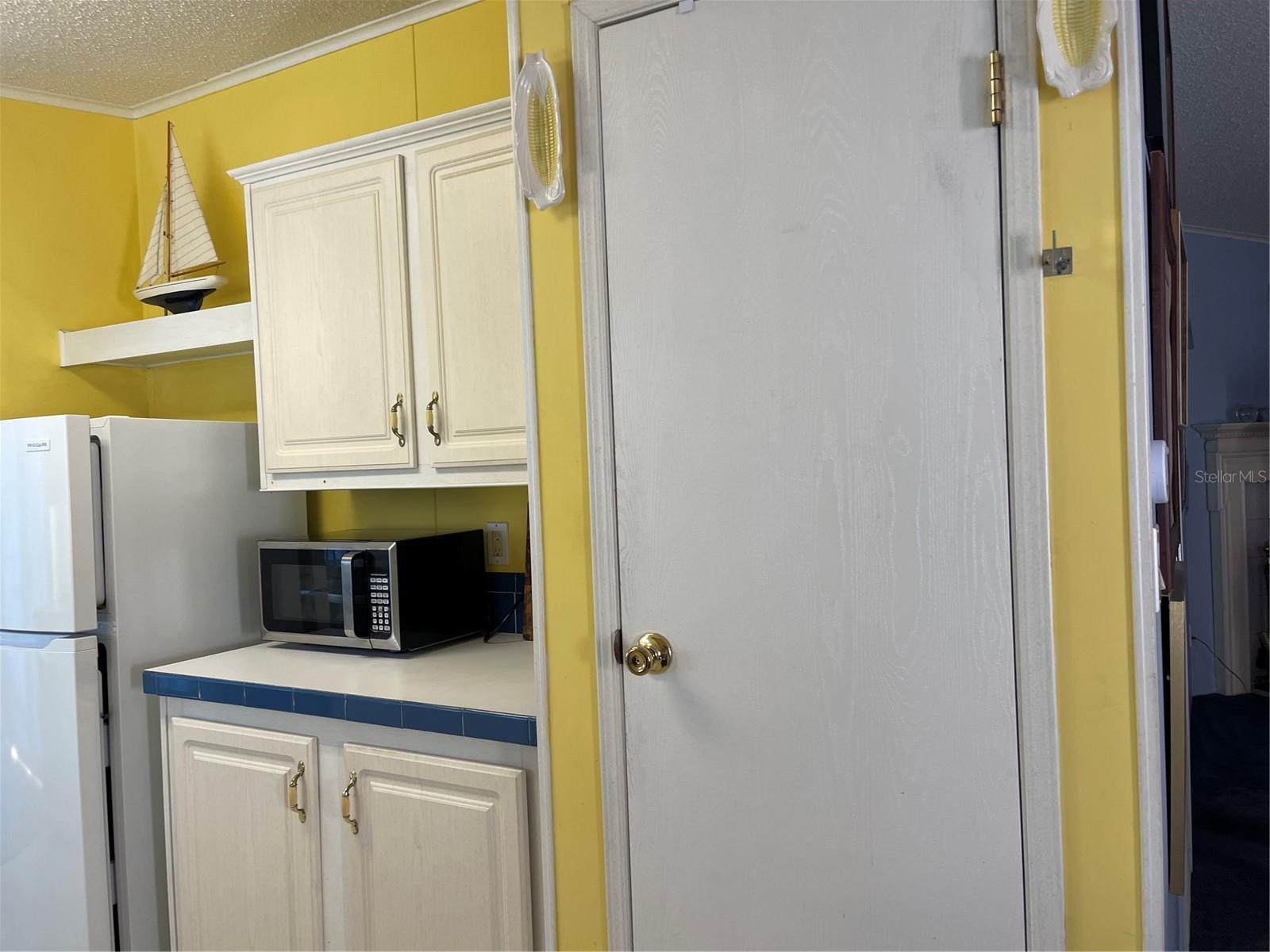 20961 LITTLE MAGENS LOOP, LUTZ, FL, 33558