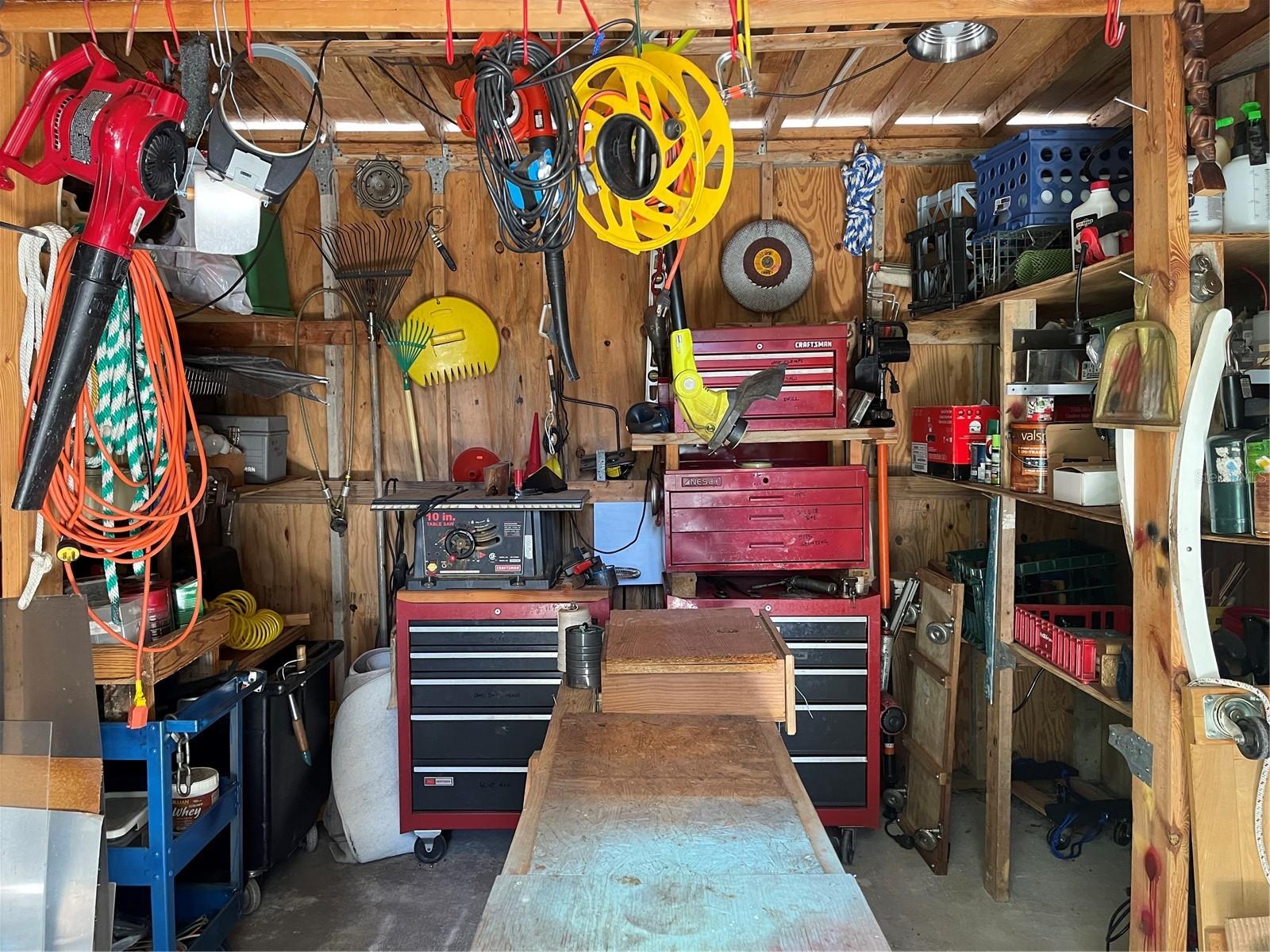 20961 LITTLE MAGENS LOOP, LUTZ, FL, 33558