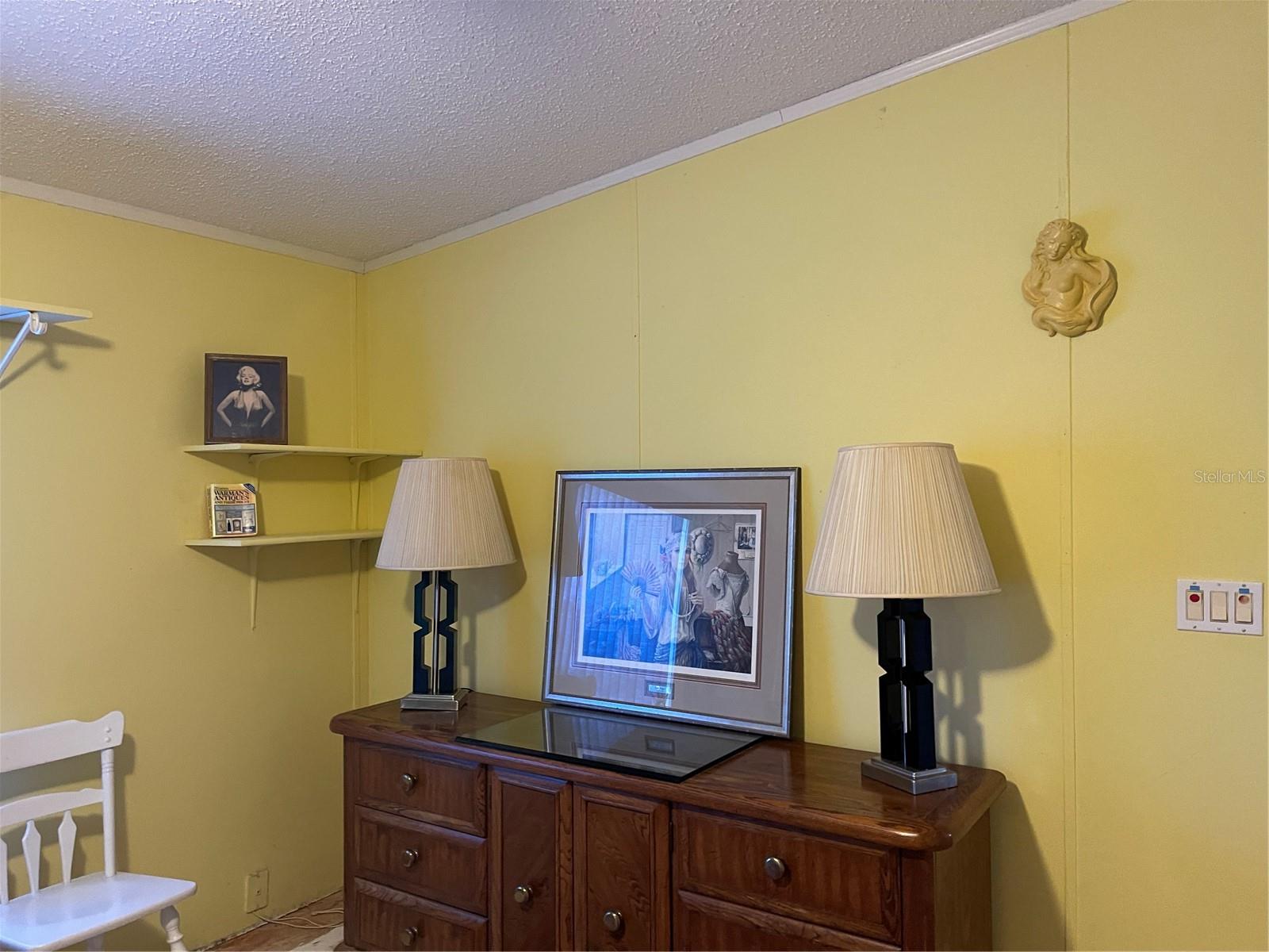 20961 LITTLE MAGENS LOOP, LUTZ, FL, 33558