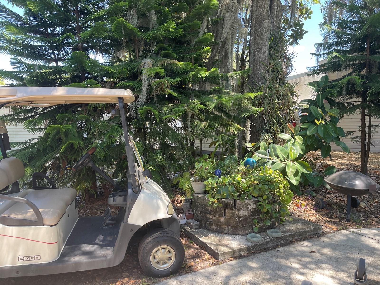 20961 LITTLE MAGENS LOOP, LUTZ, FL, 33558