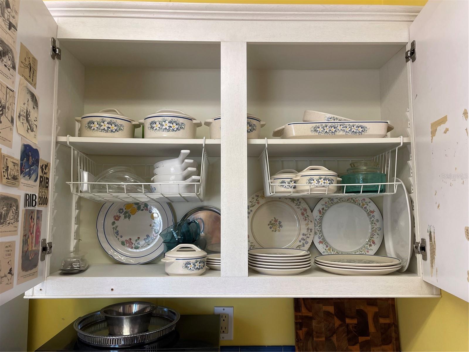 20961 LITTLE MAGENS LOOP, LUTZ, FL, 33558