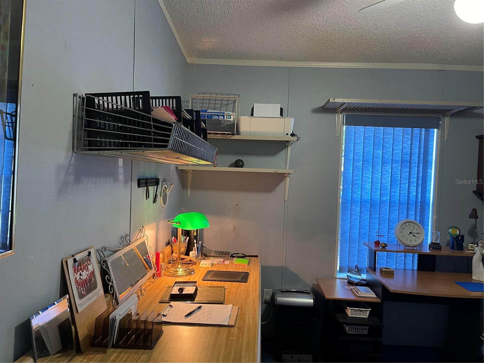 20961 LITTLE MAGENS LOOP, LUTZ, FL, 33558