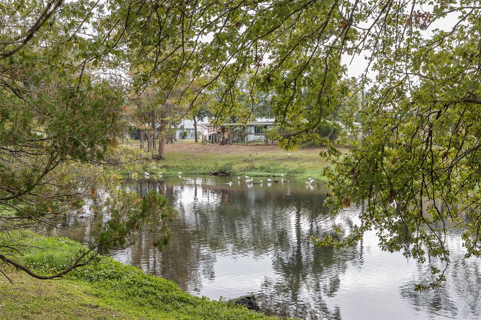 5242 BOUGENVILLE DR, NEW PORT RICHEY, FL, 34652