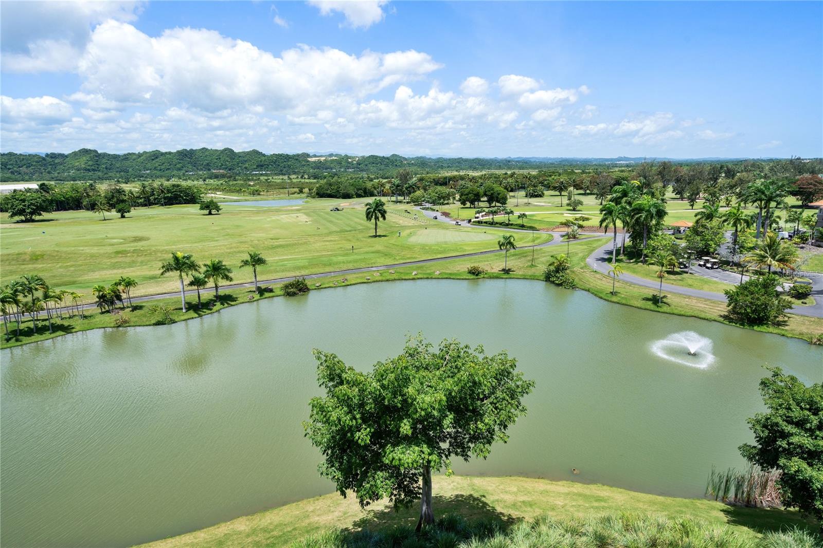 PR9106892 Property Photo