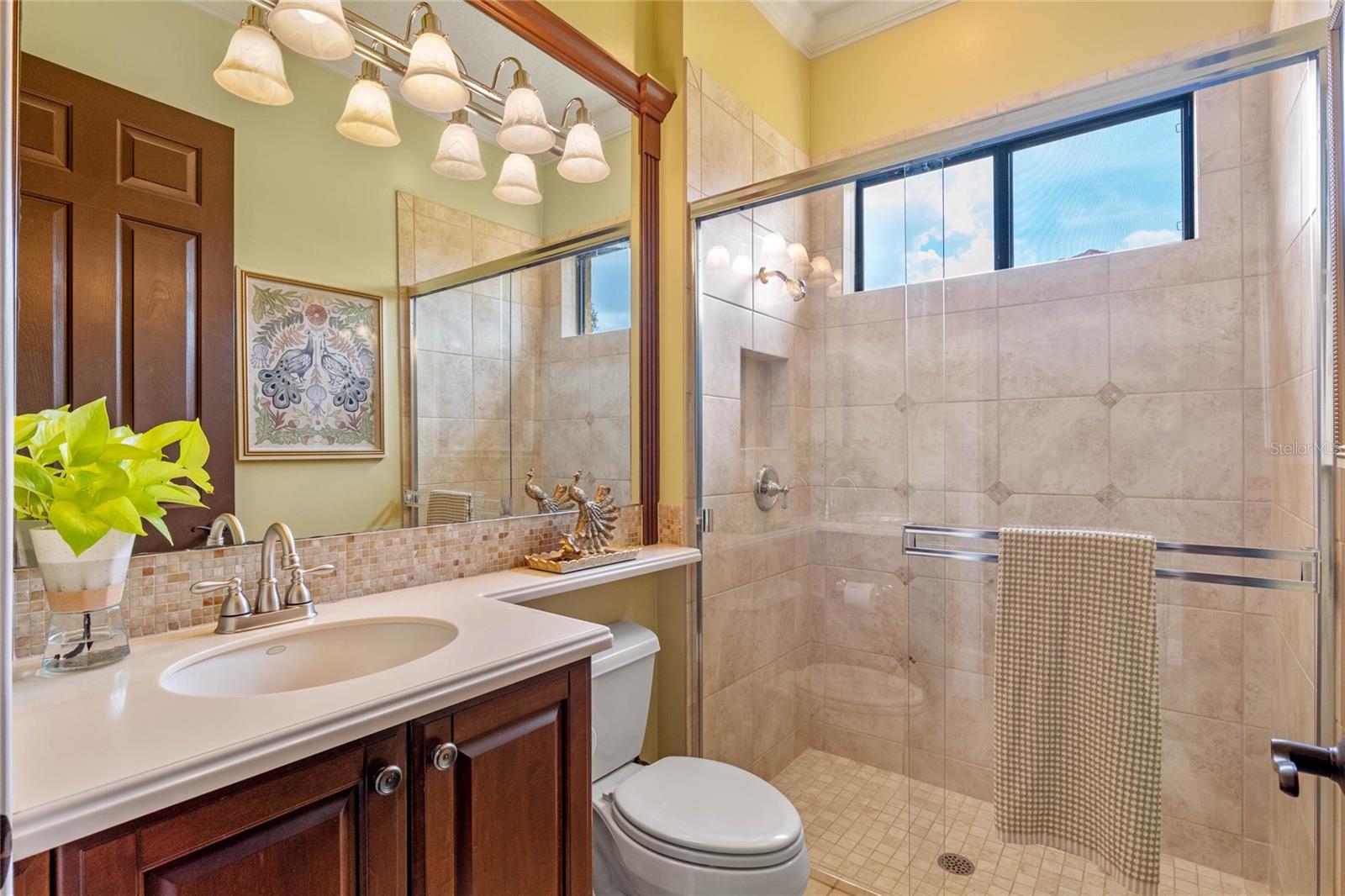 11954 PROVINCIAL WAY, WINDERMERE, FL, 34786