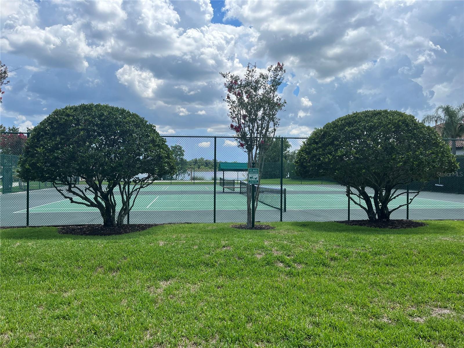 11954 PROVINCIAL WAY, WINDERMERE, FL, 34786