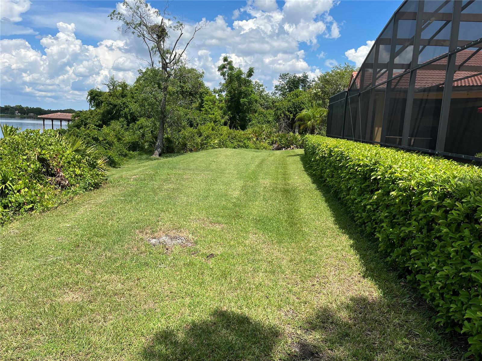 11954 PROVINCIAL WAY, WINDERMERE, FL, 34786