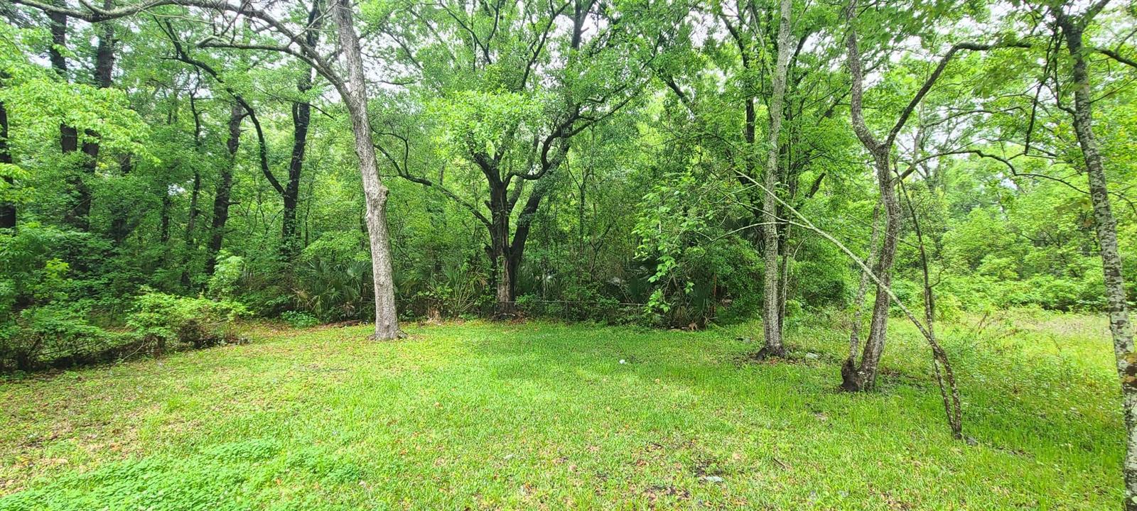 1787 HELENA ST, JACKSONVILLE, FL, 32208