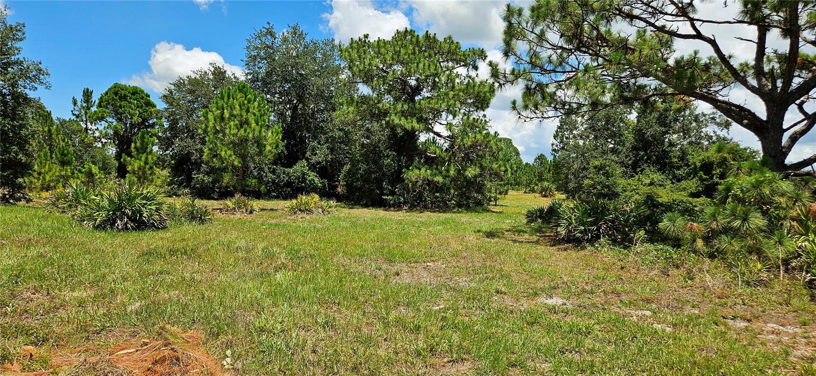 11550 STATE ROAD 60 E, LAKE WALES, FL, 33898