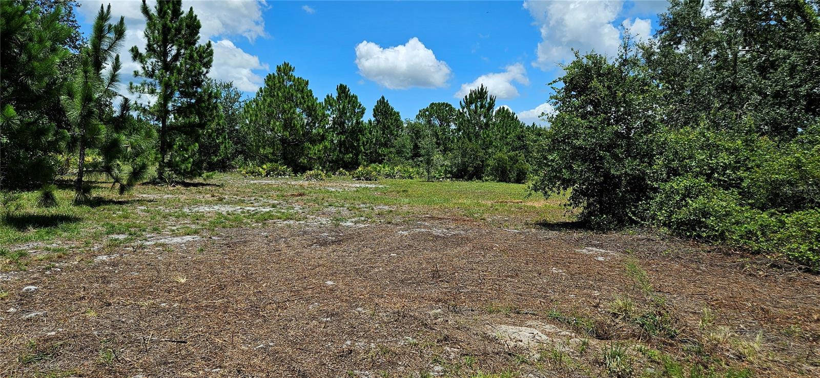 11550 STATE ROAD 60 E, LAKE WALES, FL, 33898