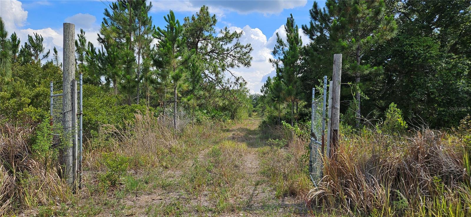 11550 STATE ROAD 60 E, LAKE WALES, FL, 33898