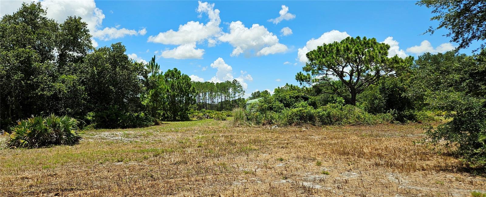 11550 STATE ROAD 60 E, LAKE WALES, FL, 33898