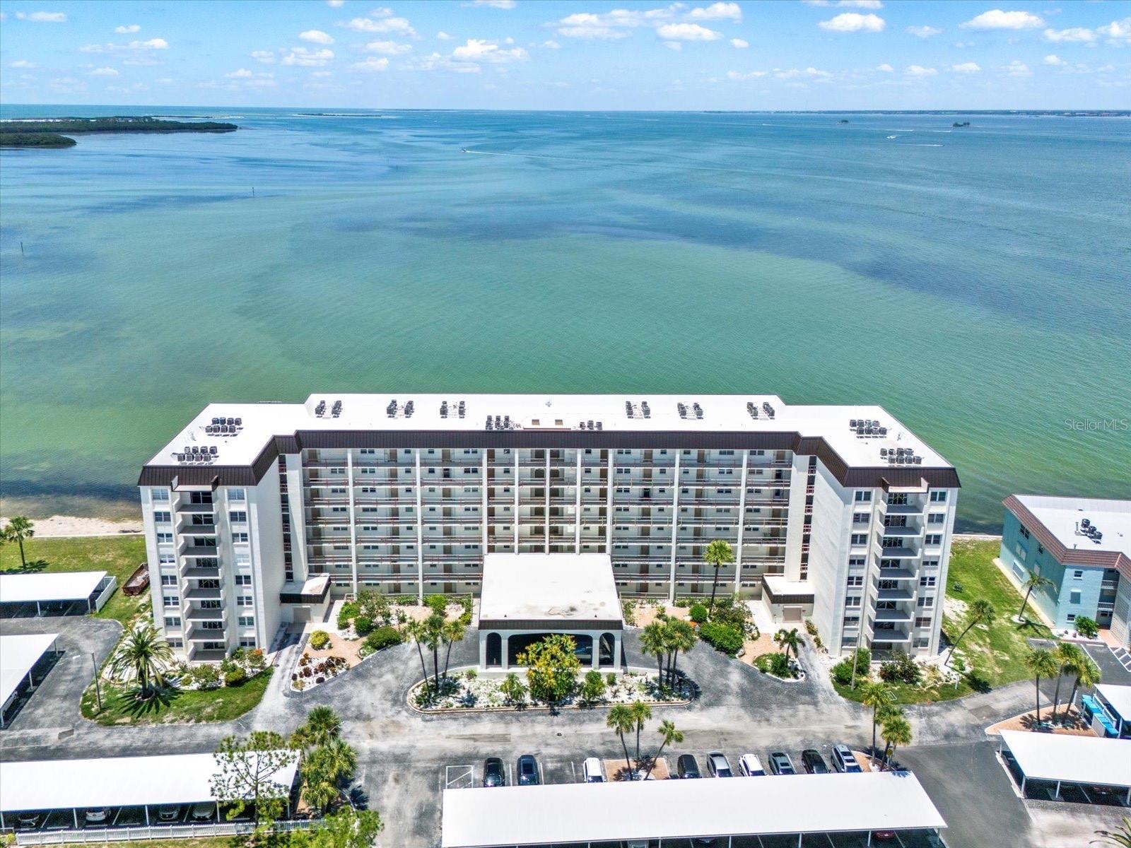 9 HAIG PL #806, DUNEDIN, FL, 34698