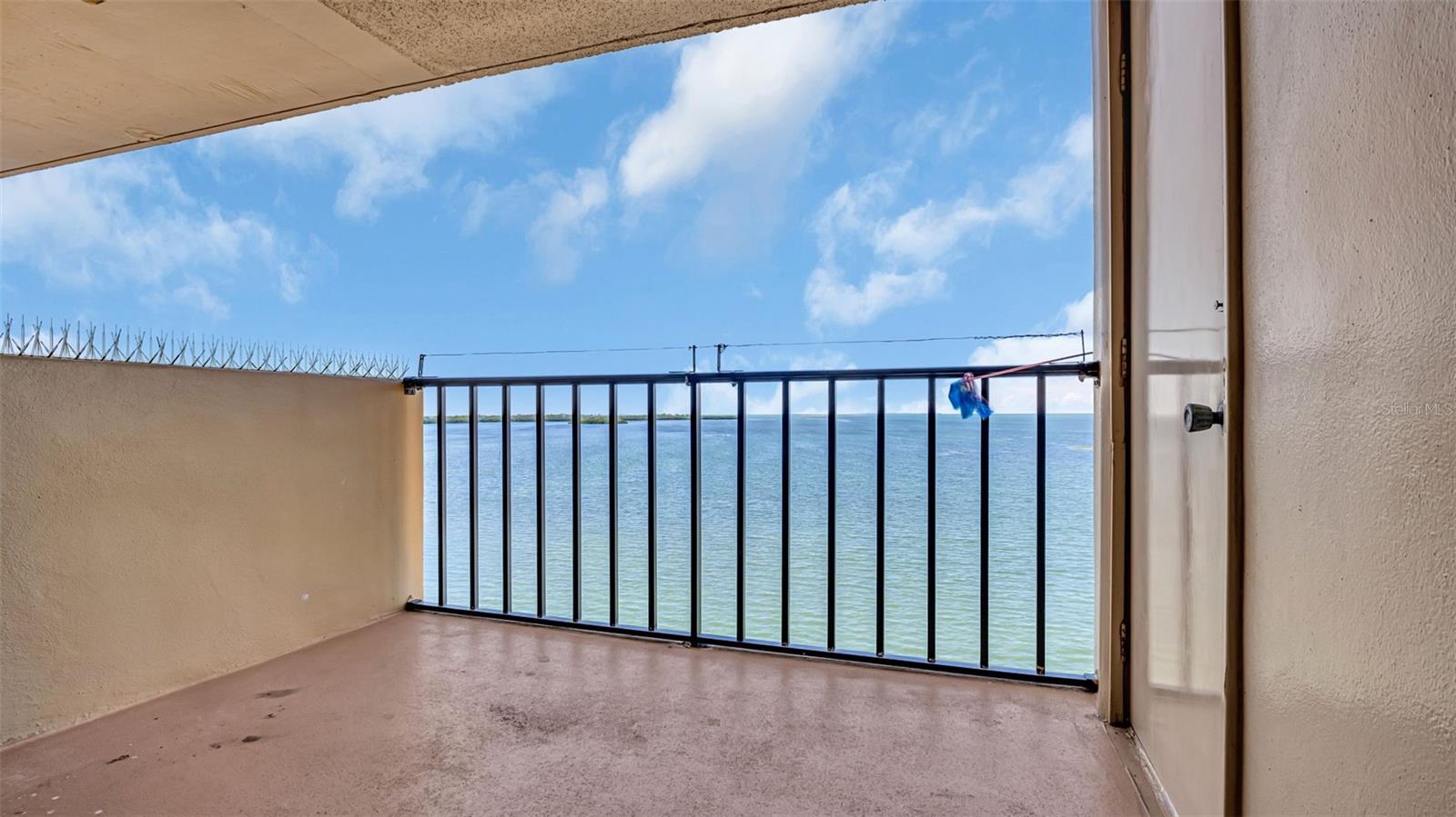 9 HAIG PL #806, DUNEDIN, FL, 34698