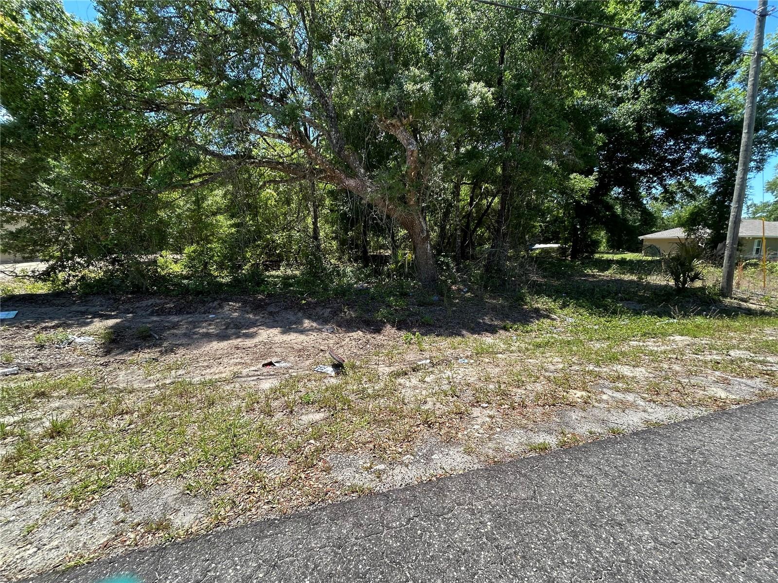 0000 GUAVA TERRACE #4, OCKLAWAHA, FL, 32179