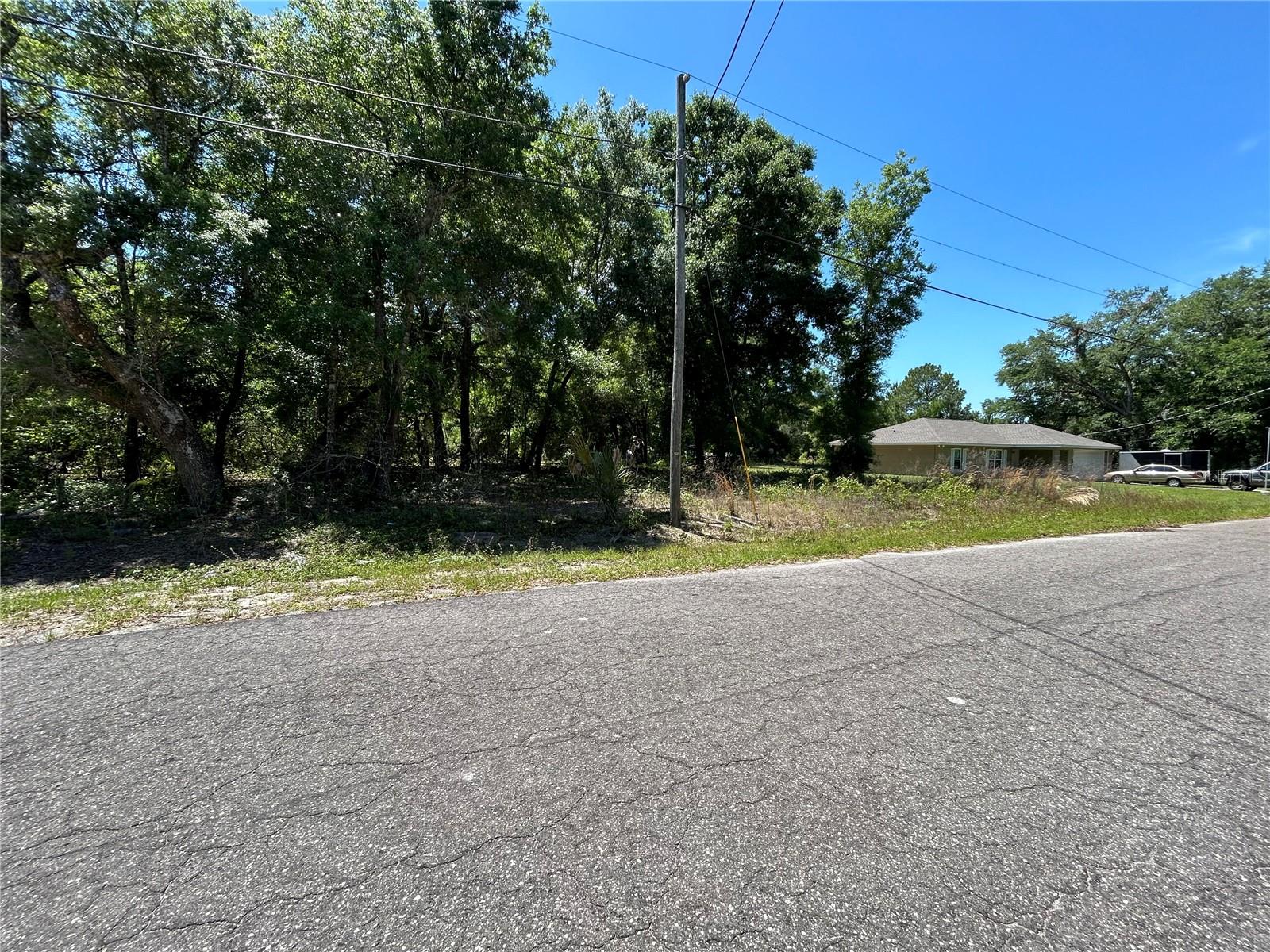 0000 GUAVA TERRACE #4, OCKLAWAHA, FL, 32179