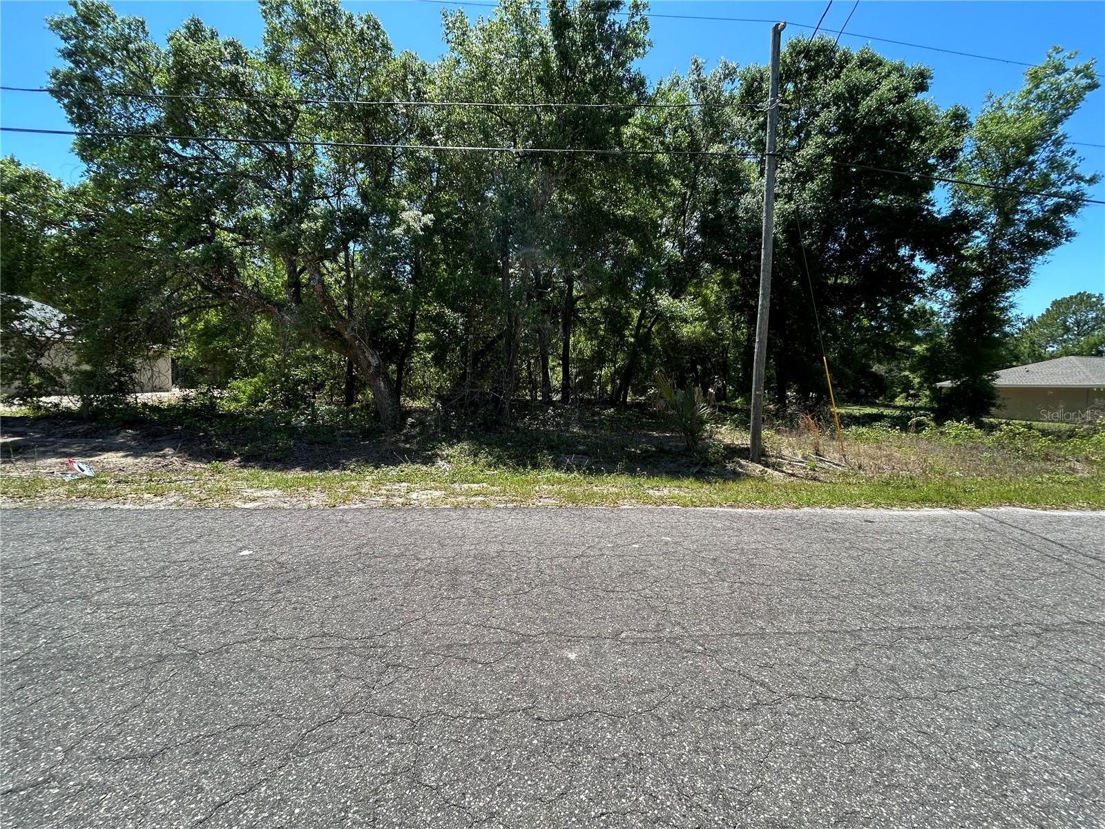 0000 GUAVA TERRACE #4, OCKLAWAHA, FL, 32179