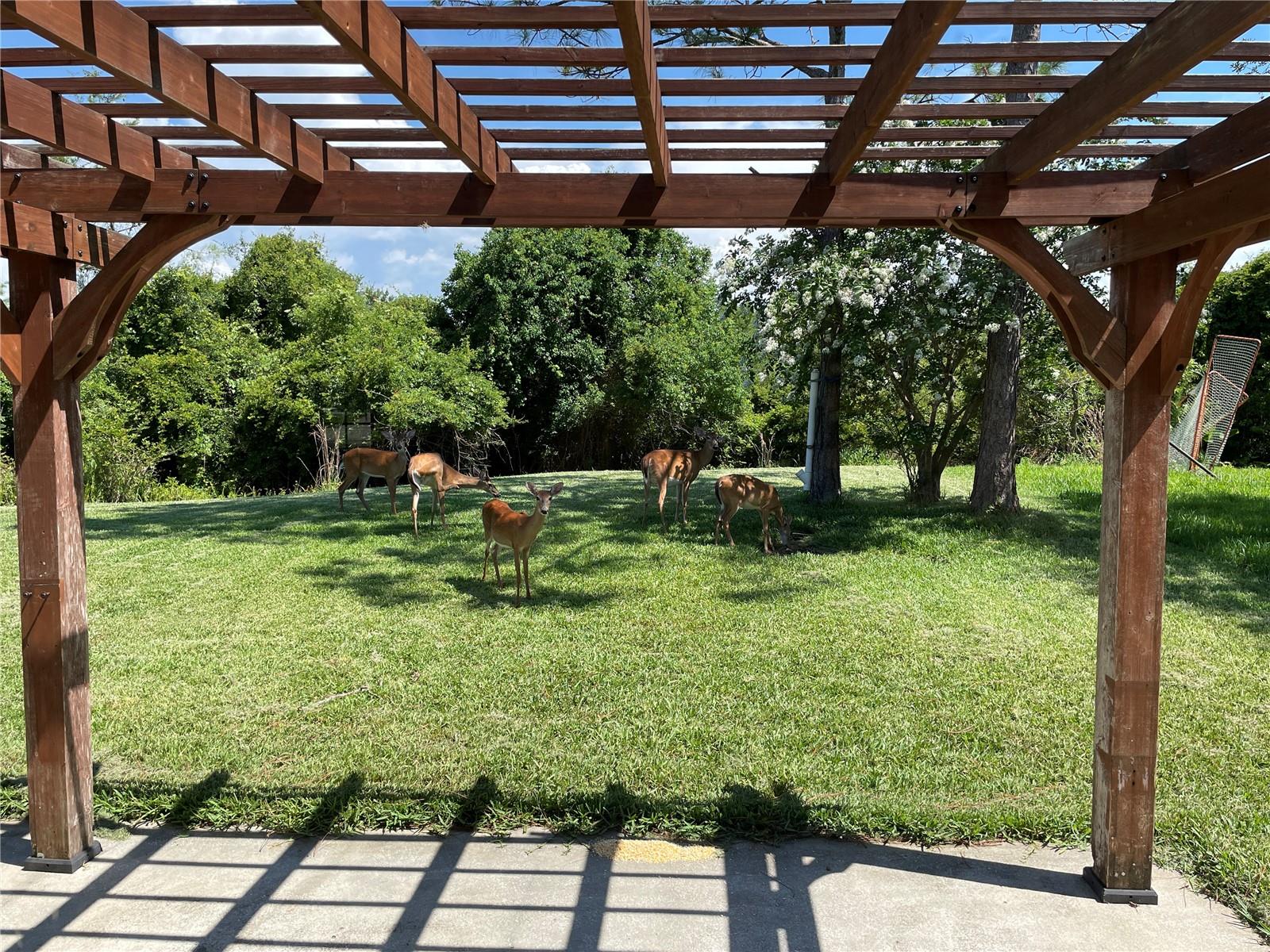 14850 HUNTLEY DR, ORLANDO, FL, 32828