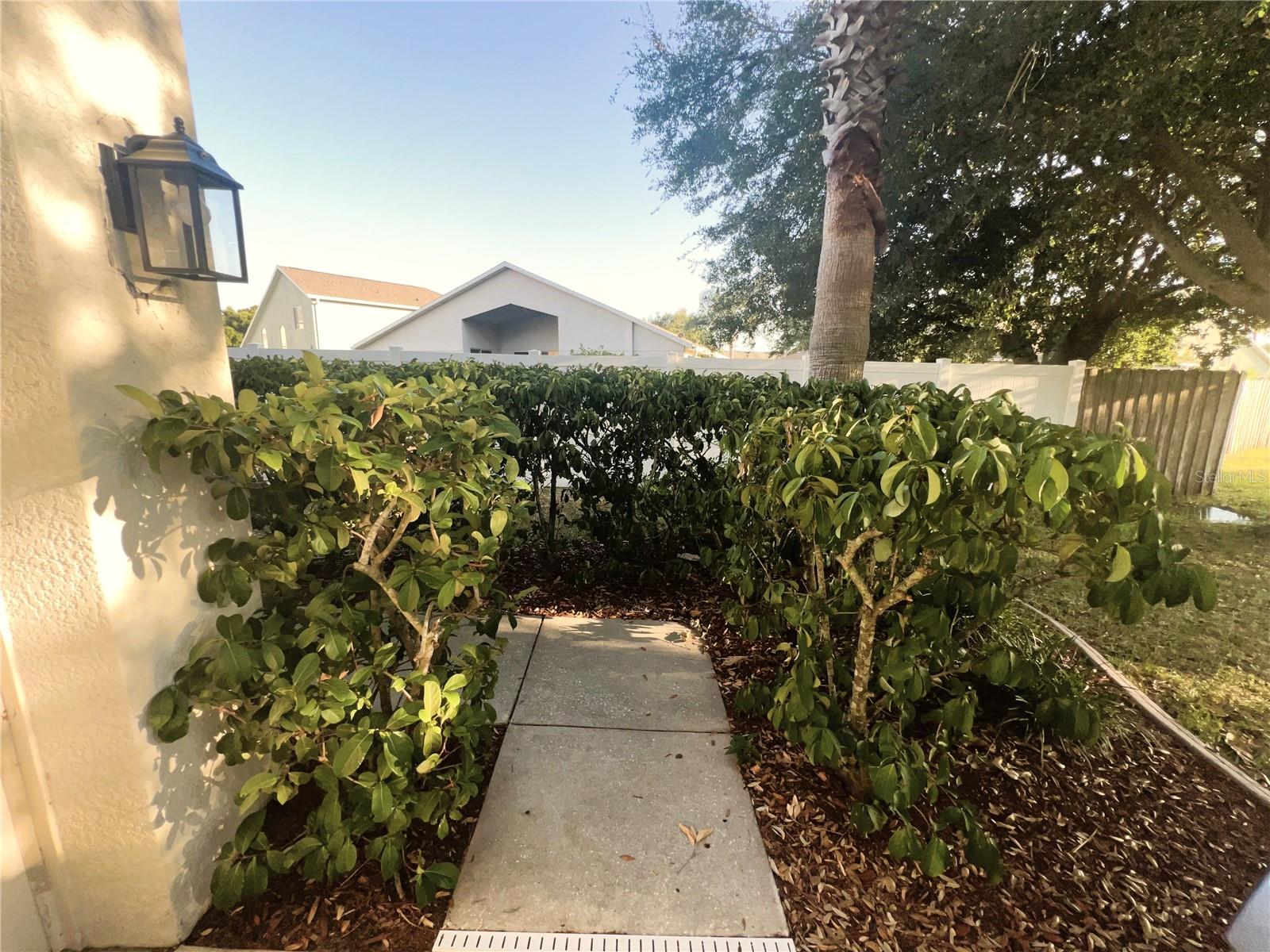 3316 THISTLEDOWN LN, LAND O LAKES, FL, 34638