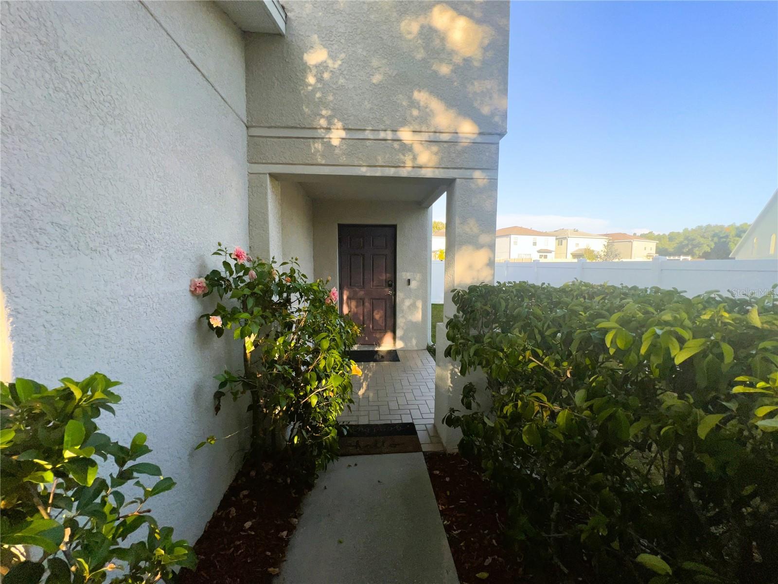 3316 THISTLEDOWN LN, LAND O LAKES, FL, 34638