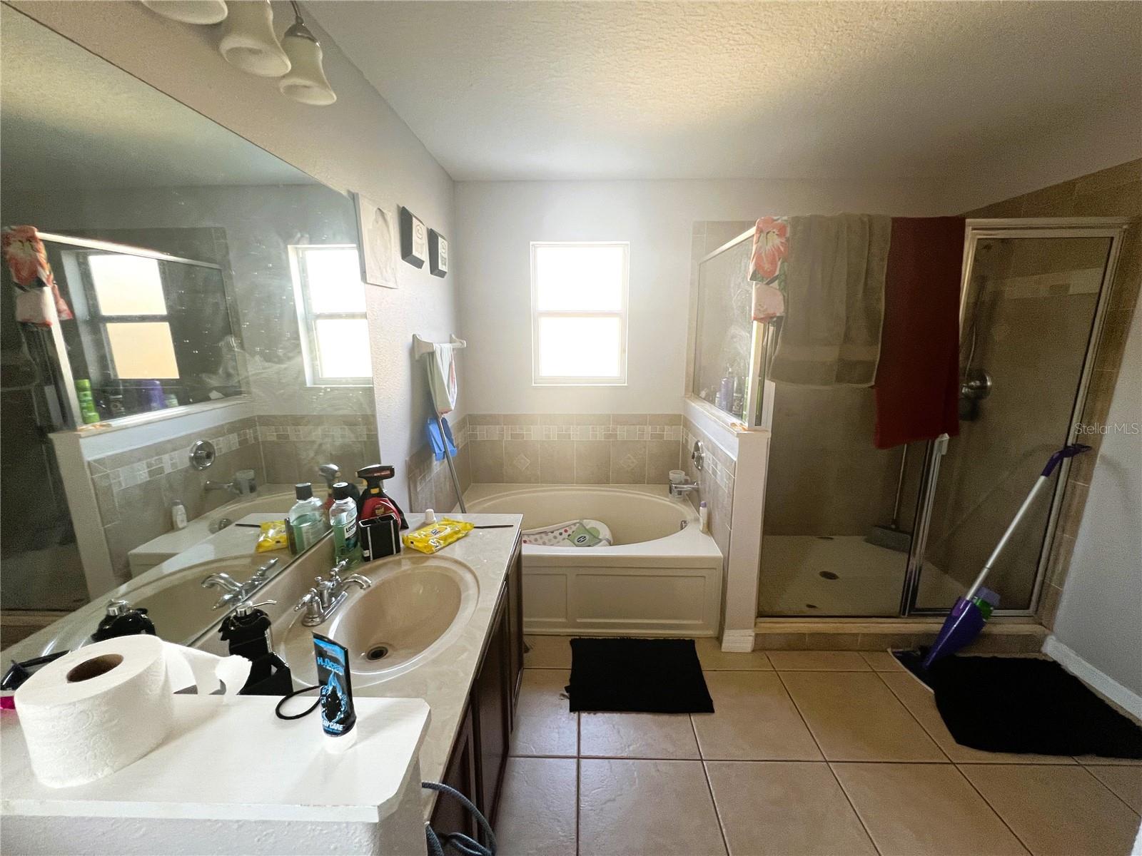3316 THISTLEDOWN LN, LAND O LAKES, FL, 34638