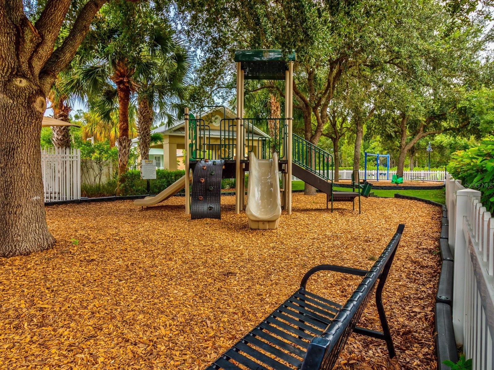 4219 WOODLAND RETREAT BLVD, TRINITY, FL, 34655