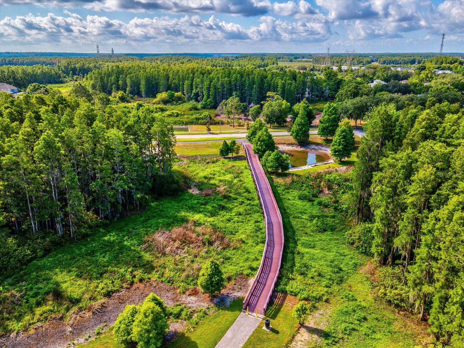 4219 WOODLAND RETREAT BLVD, TRINITY, FL, 34655