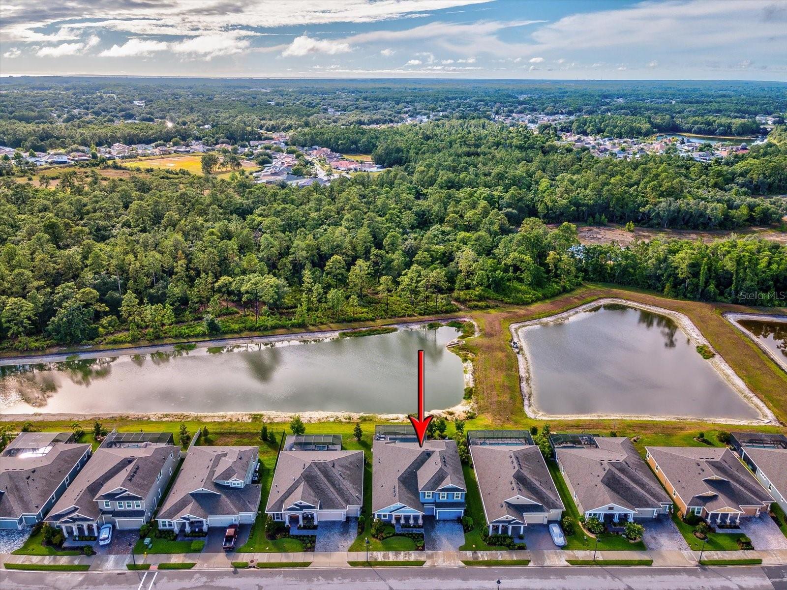 4219 WOODLAND RETREAT BLVD, TRINITY, FL, 34655