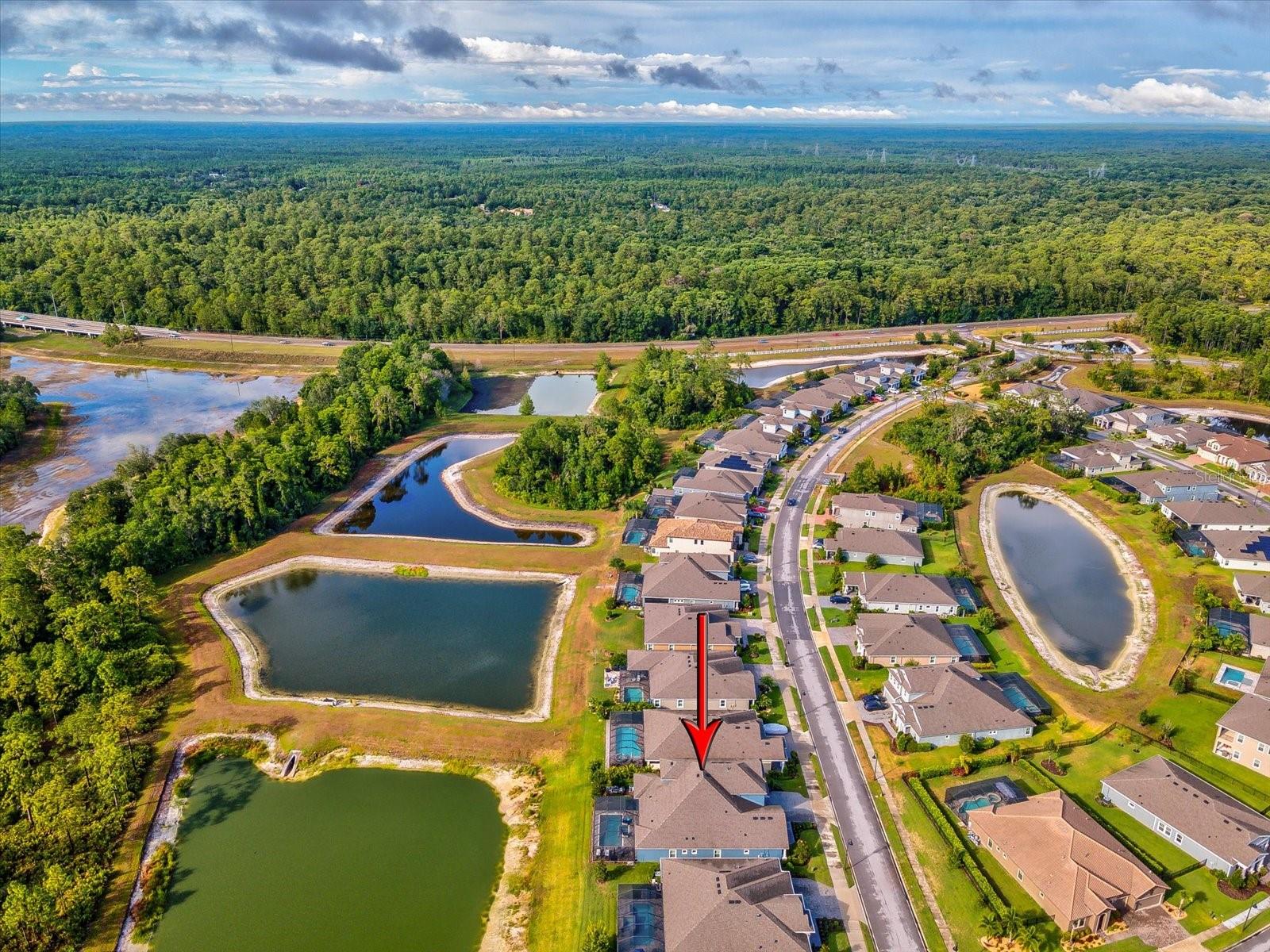 4219 WOODLAND RETREAT BLVD, TRINITY, FL, 34655