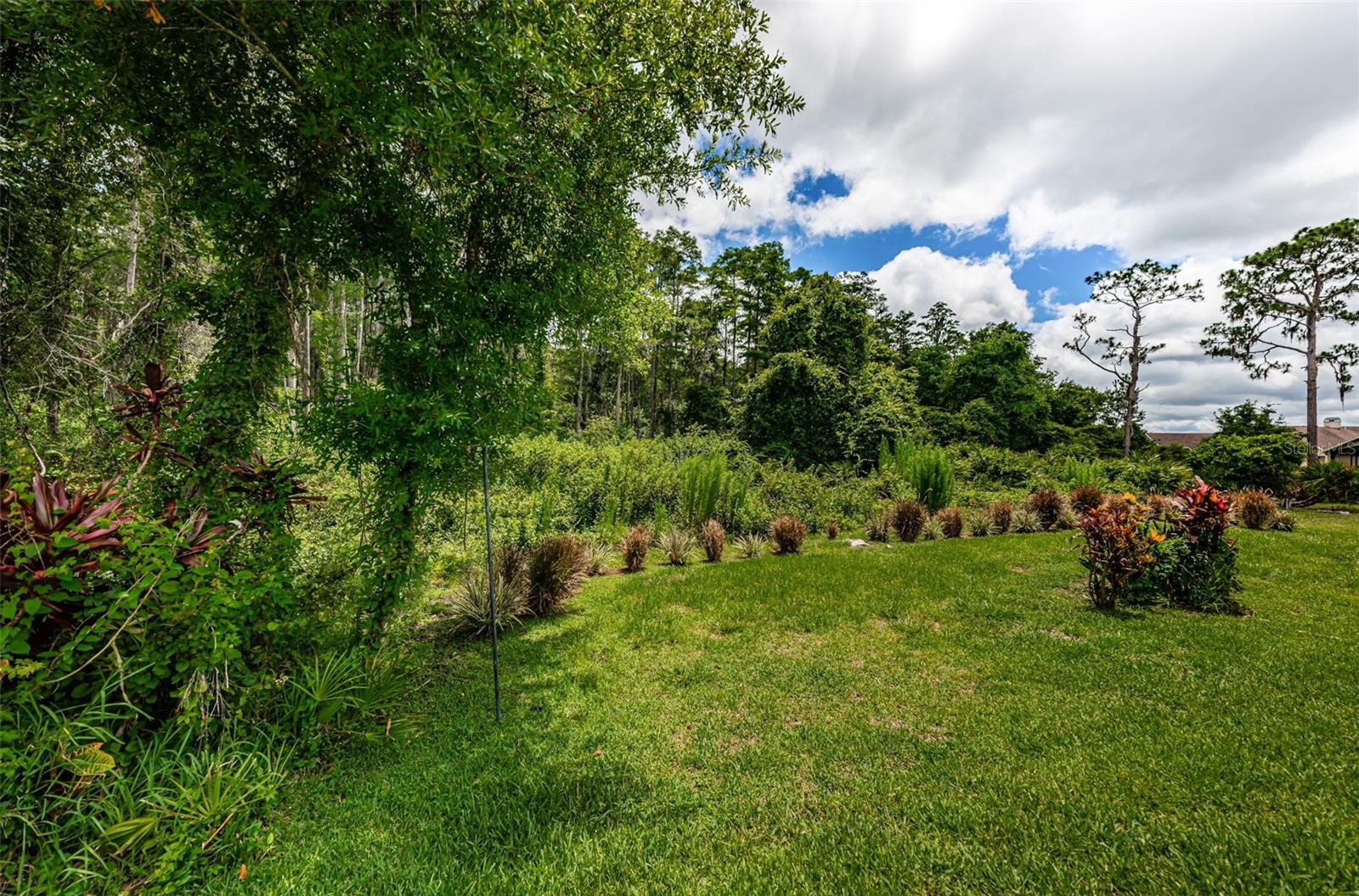 9651 CONSERVATION DR, NEW PORT RICHEY, FL, 34655