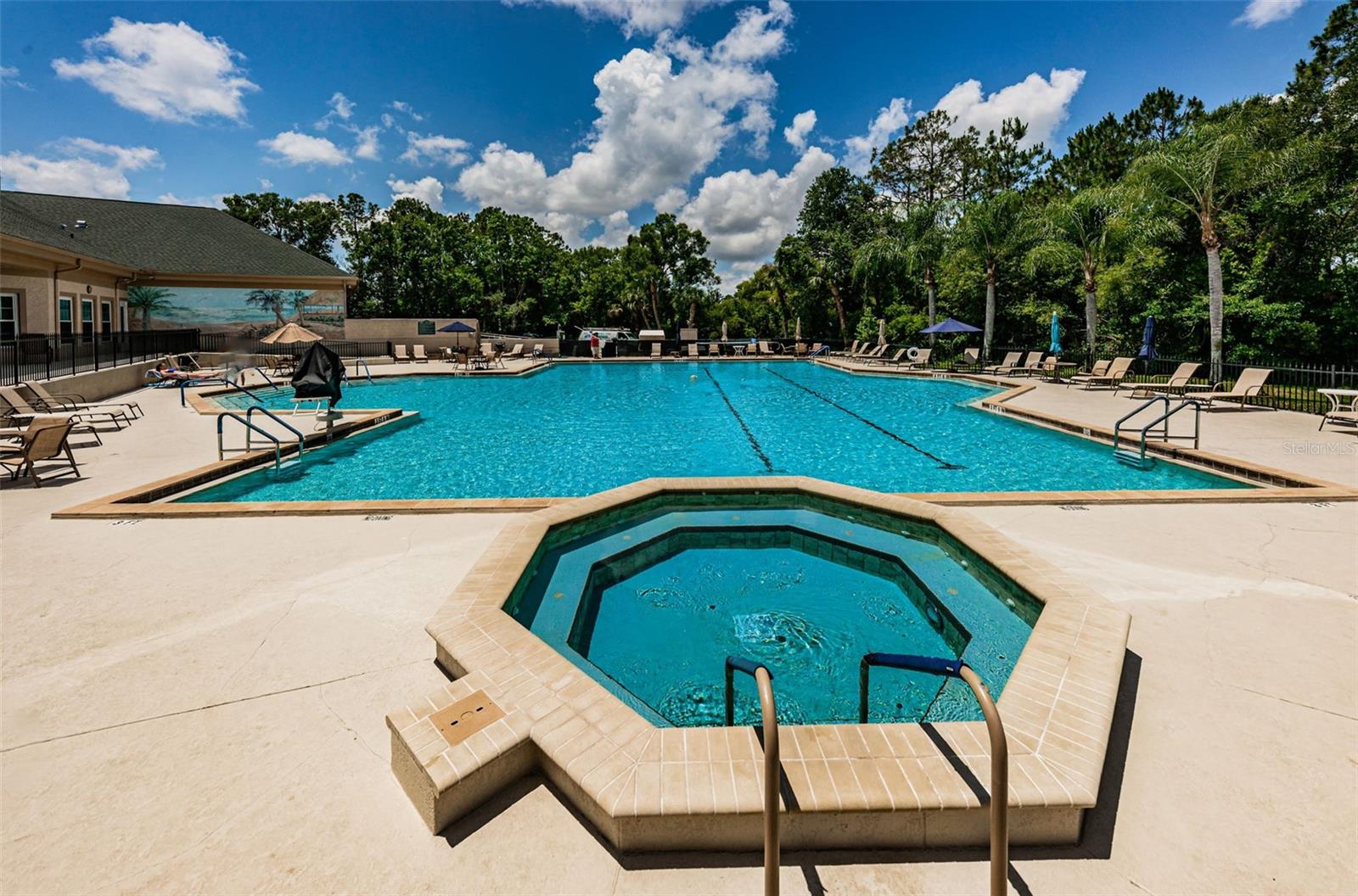 9651 CONSERVATION DR, NEW PORT RICHEY, FL, 34655