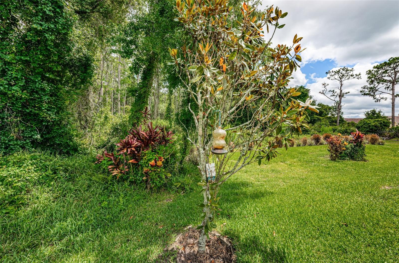 9651 CONSERVATION DR, NEW PORT RICHEY, FL, 34655