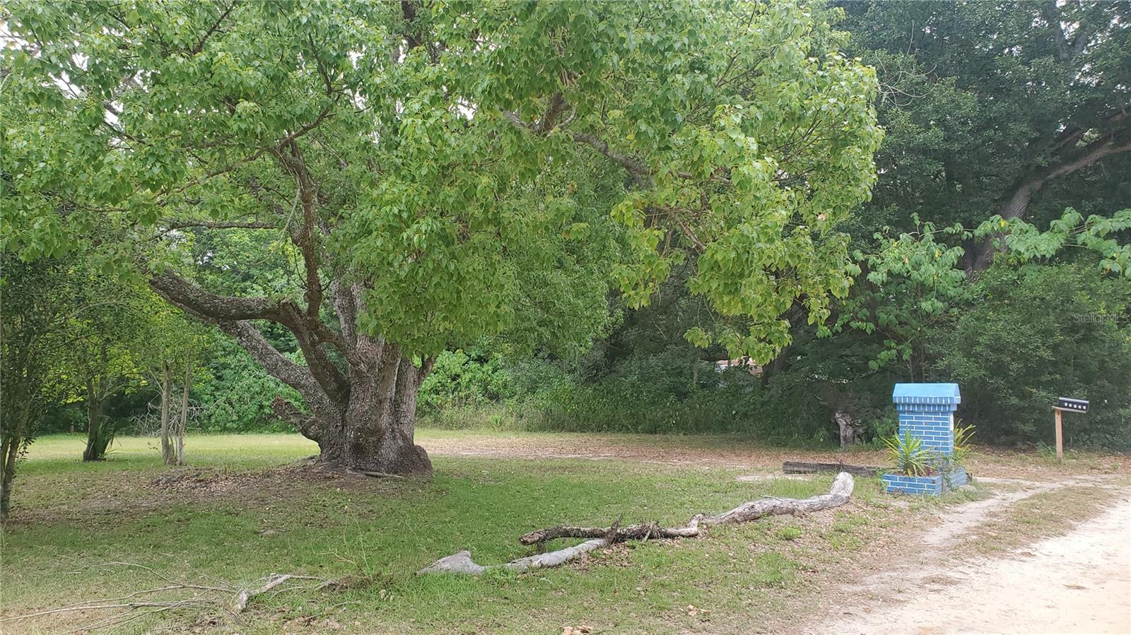 13525 SE 167TH LN, WEIRSDALE, FL, 32195