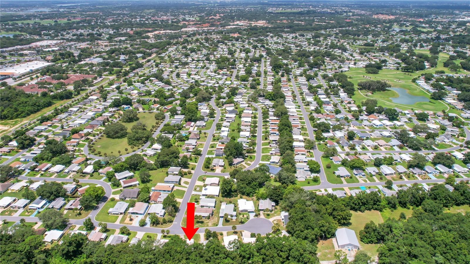 410 TARRSON BLVD, THE VILLAGES, FL, 32159