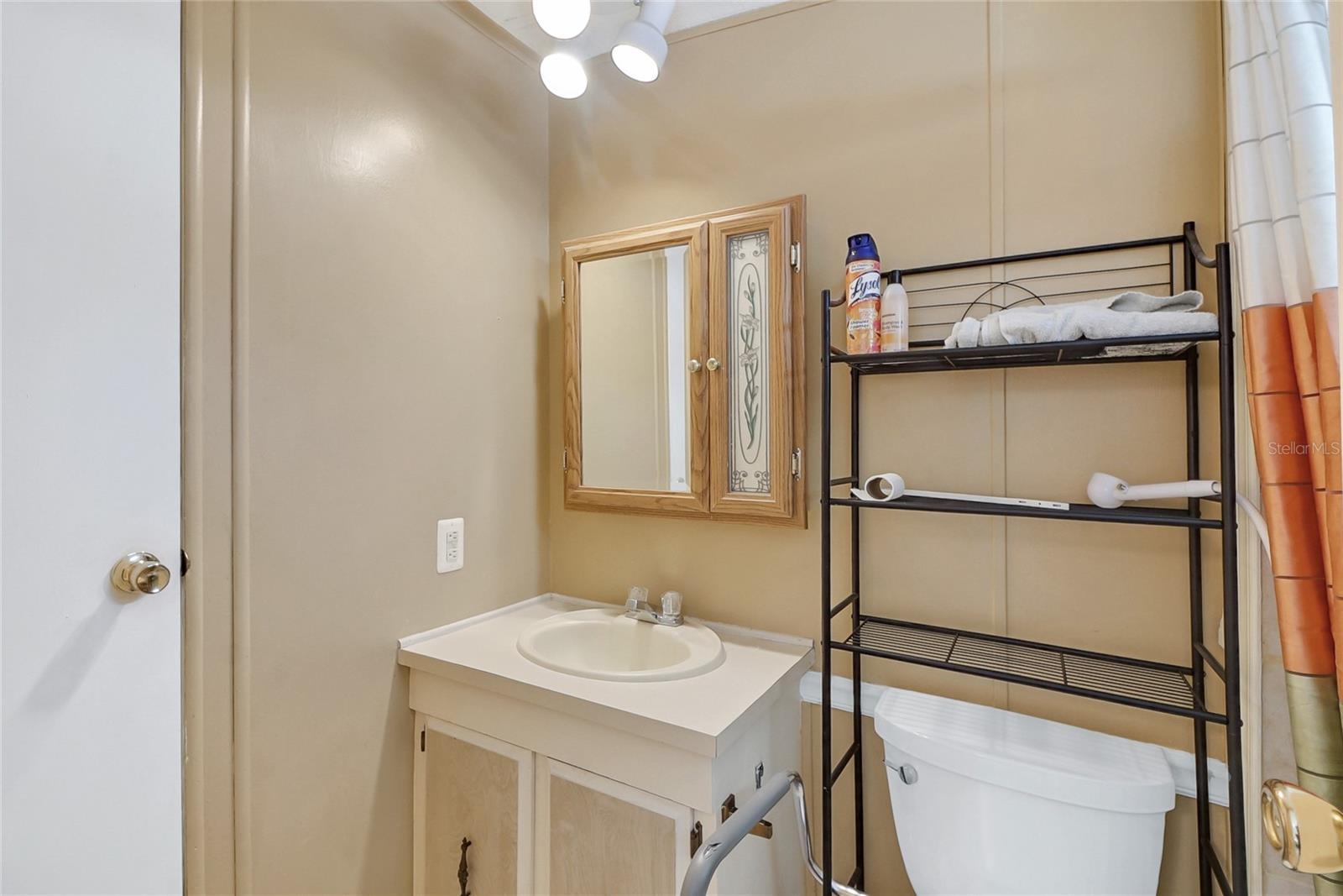 410 TARRSON BLVD, THE VILLAGES, FL, 32159