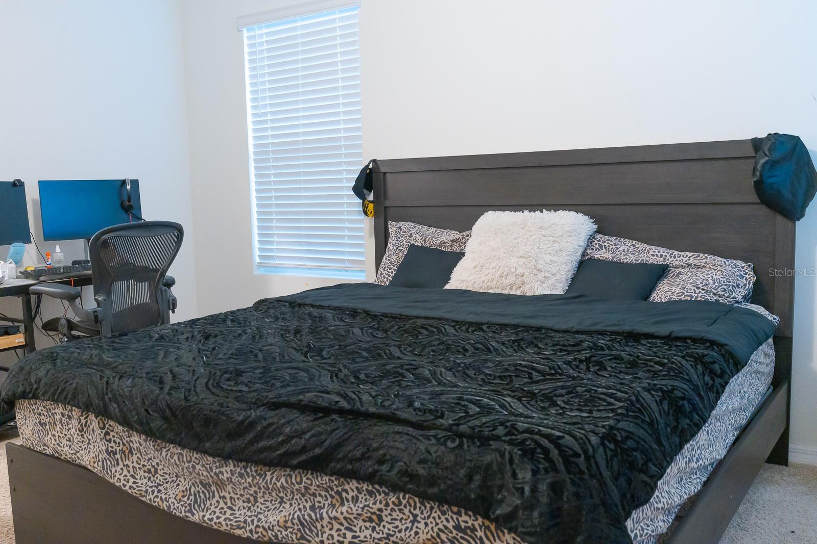 10023 MERRY FAWN CT, SUN CITY CENTER, FL, 33573