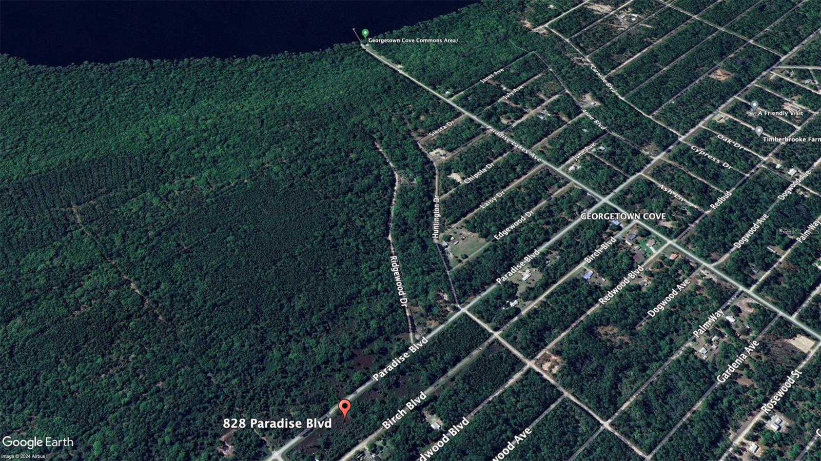 828 PARADISE BLVD, GEORGETOWN, FL, 32139