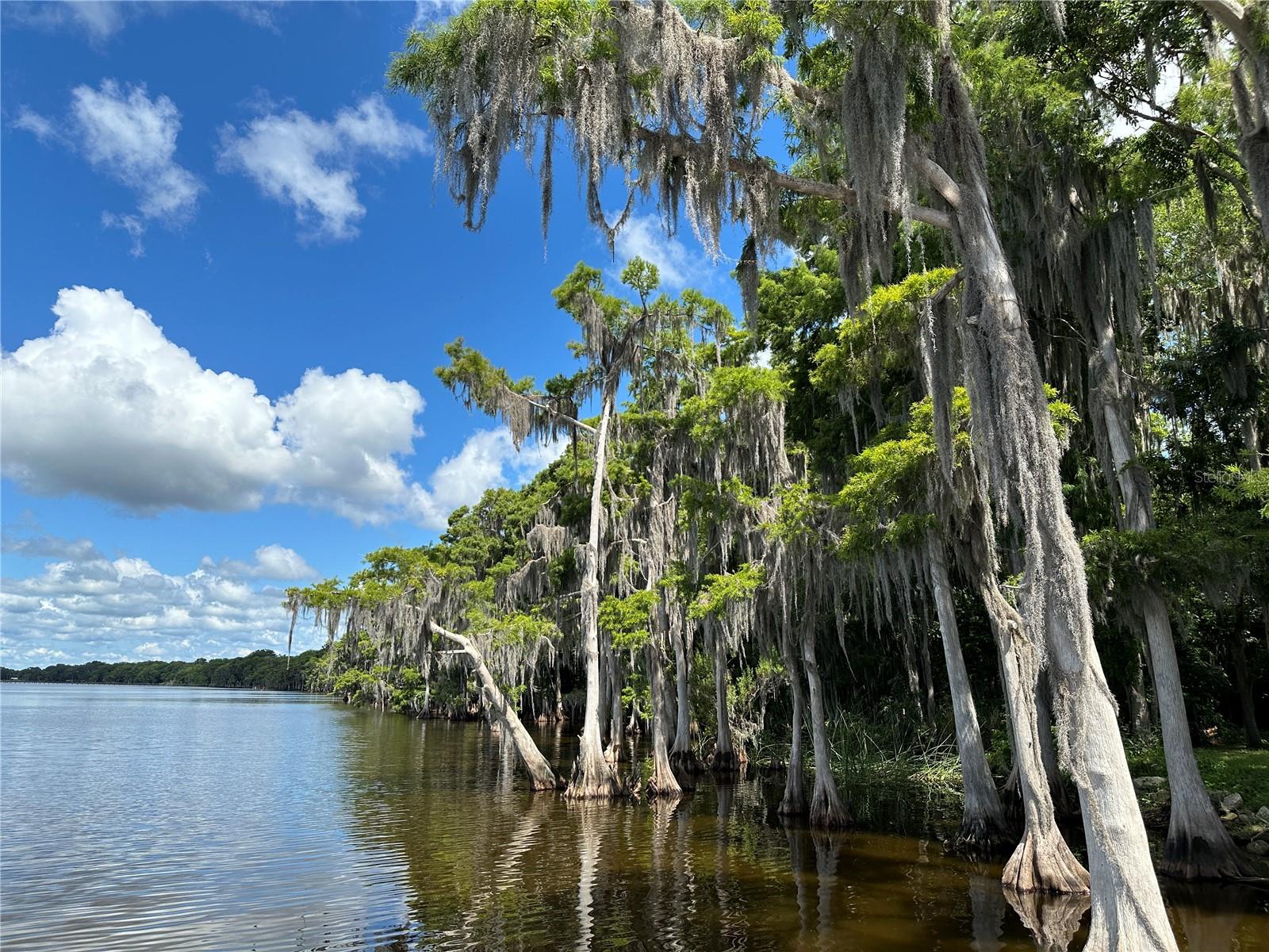 828 PARADISE BLVD, GEORGETOWN, FL, 32139