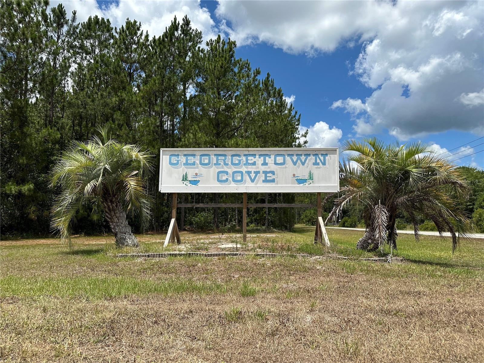 828 PARADISE BLVD, GEORGETOWN, FL, 32139
