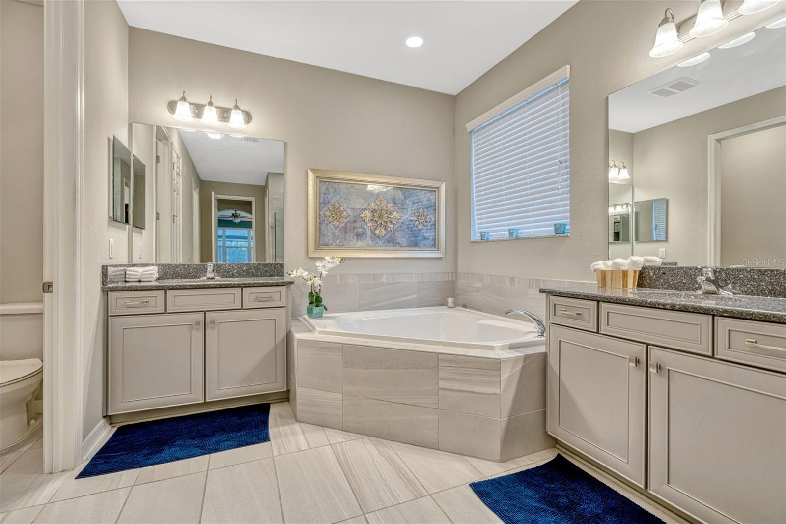 10705 FOXTAIL PASTURE WAY, TAMPA, FL, 33647