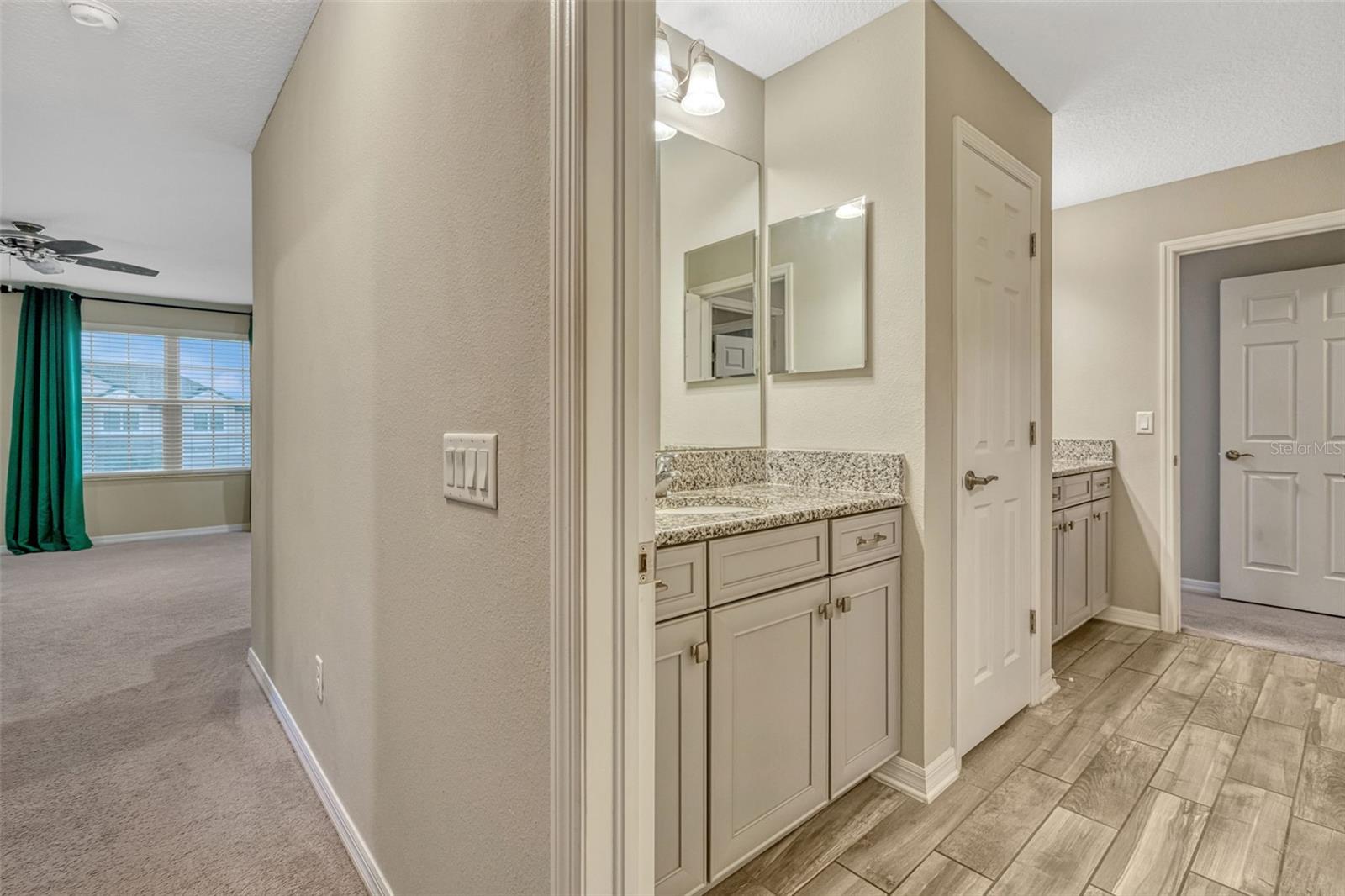 10705 FOXTAIL PASTURE WAY, TAMPA, FL, 33647