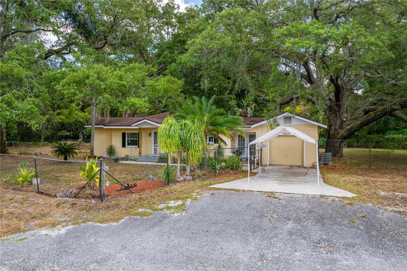 16637 LIVINGSTON AVE, LUTZ, FL, 33559