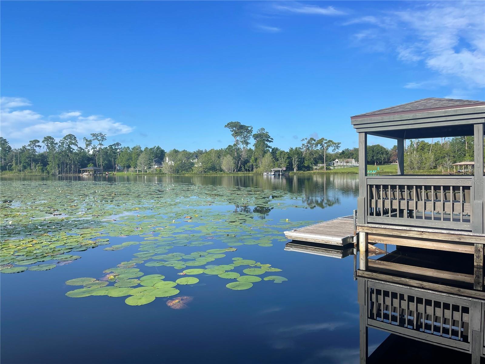 1709 ONONDAGA DR, GENEVA, FL, 32732