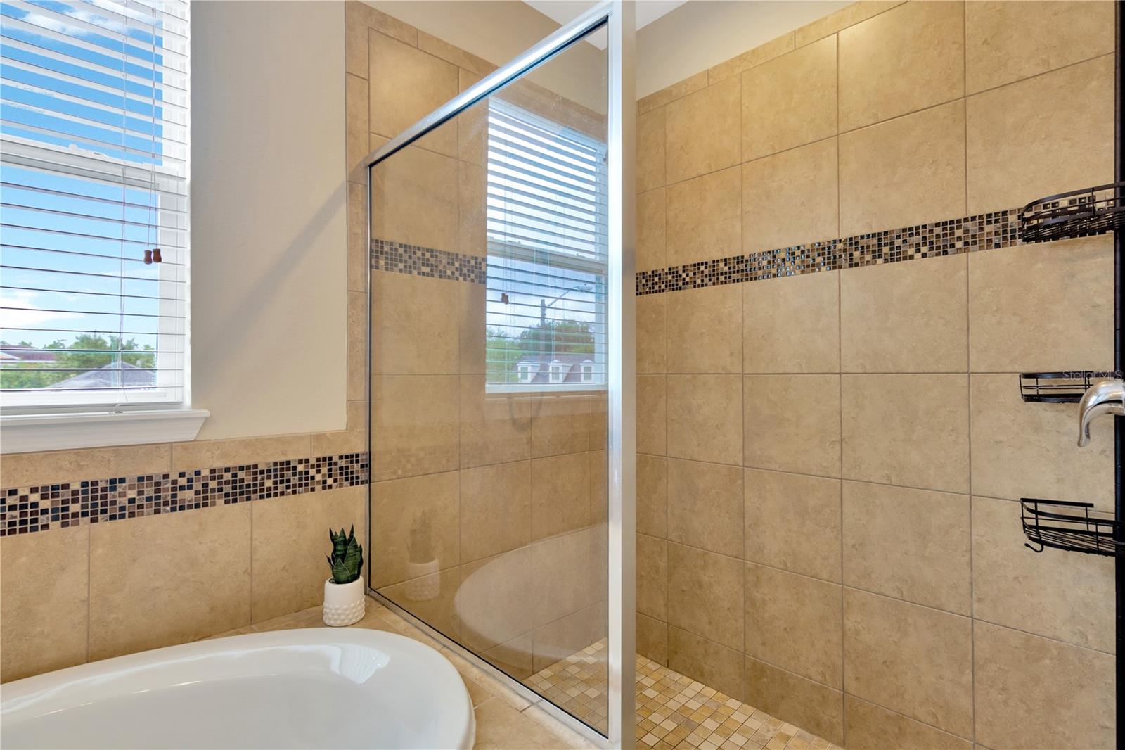 32738 HARMONY OAKS DR, WESLEY CHAPEL, FL, 33545