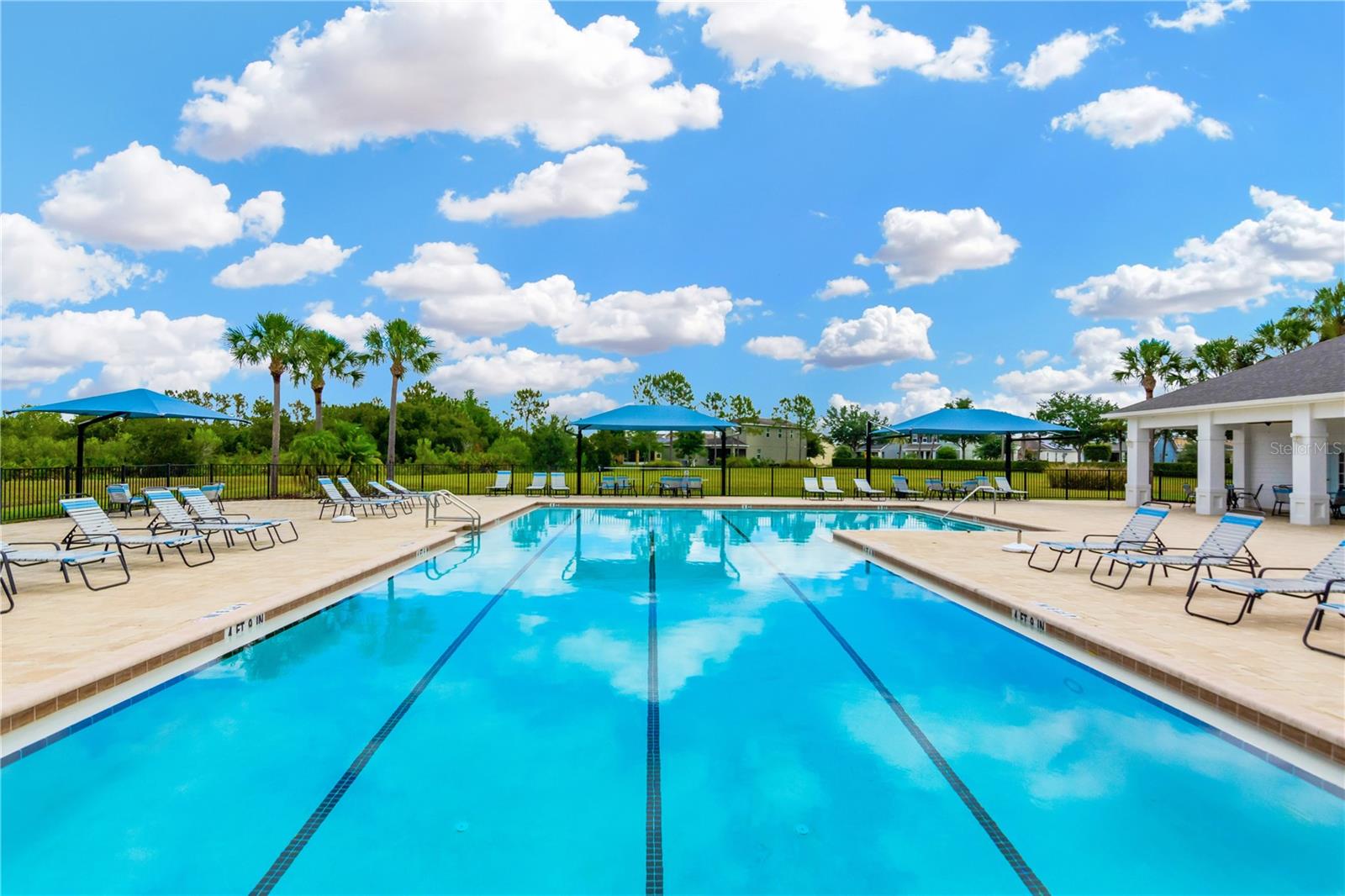 32738 HARMONY OAKS DR, WESLEY CHAPEL, FL, 33545