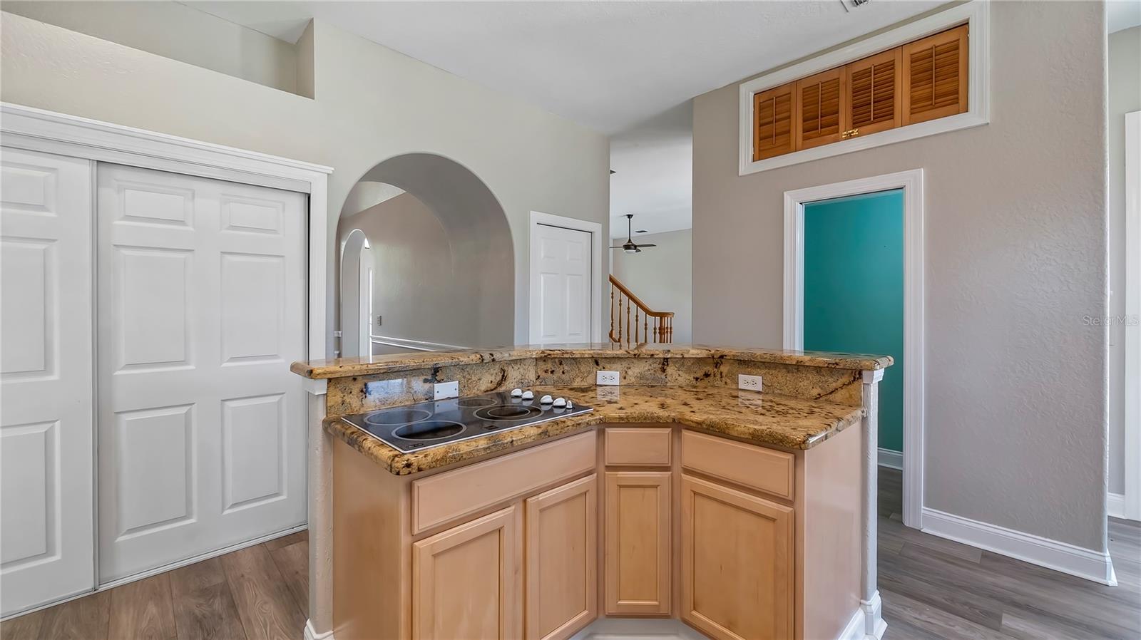 17416 MAGNOLIA ISLAND BLVD, CLERMONT, FL, 34711